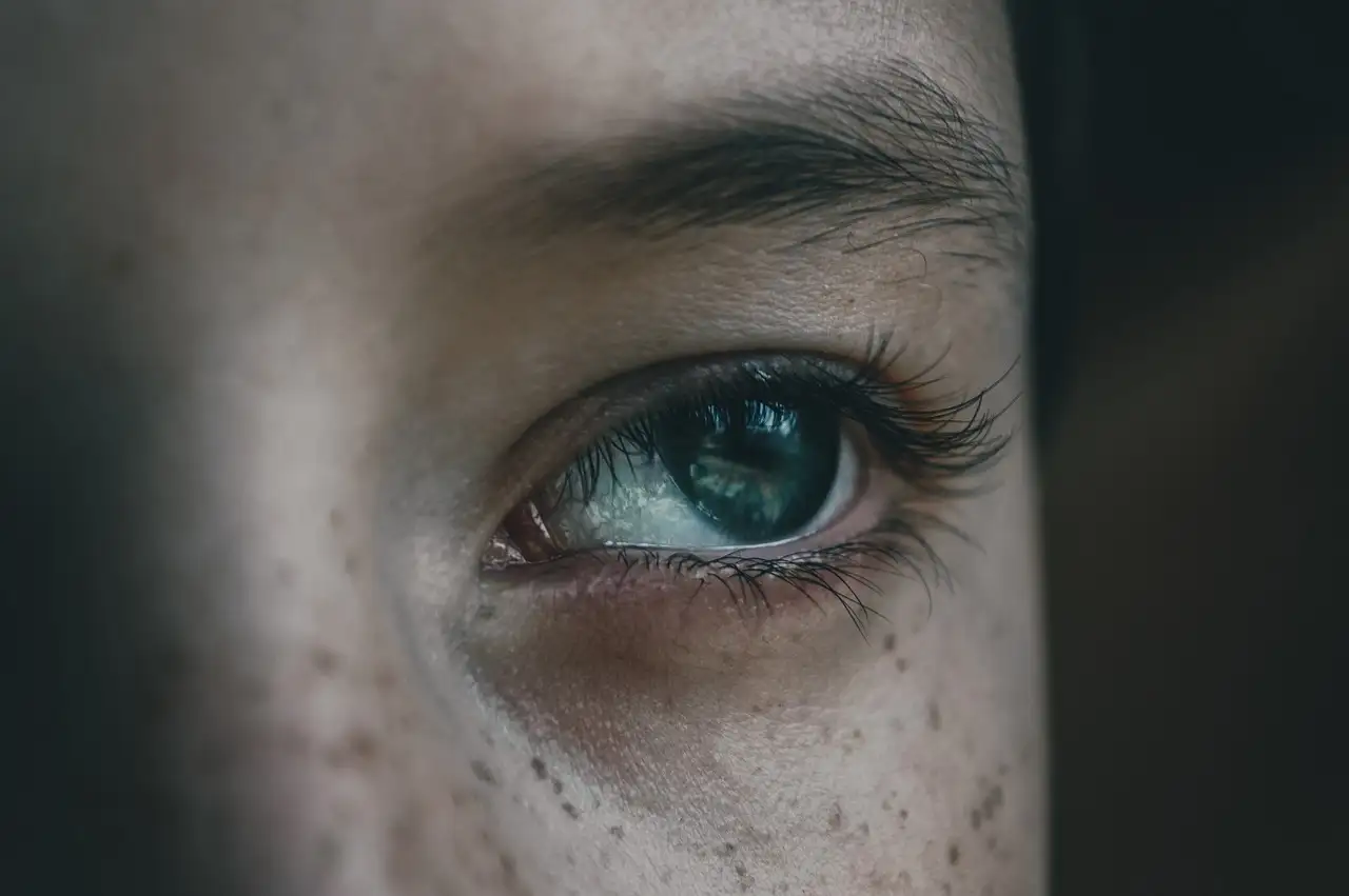 Pourquoi les yeux des chats brillent-ils dans l'obscurité ?