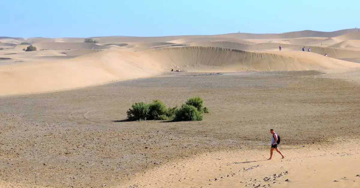 Quel est le plus grand désert du monde : le Sahara ?