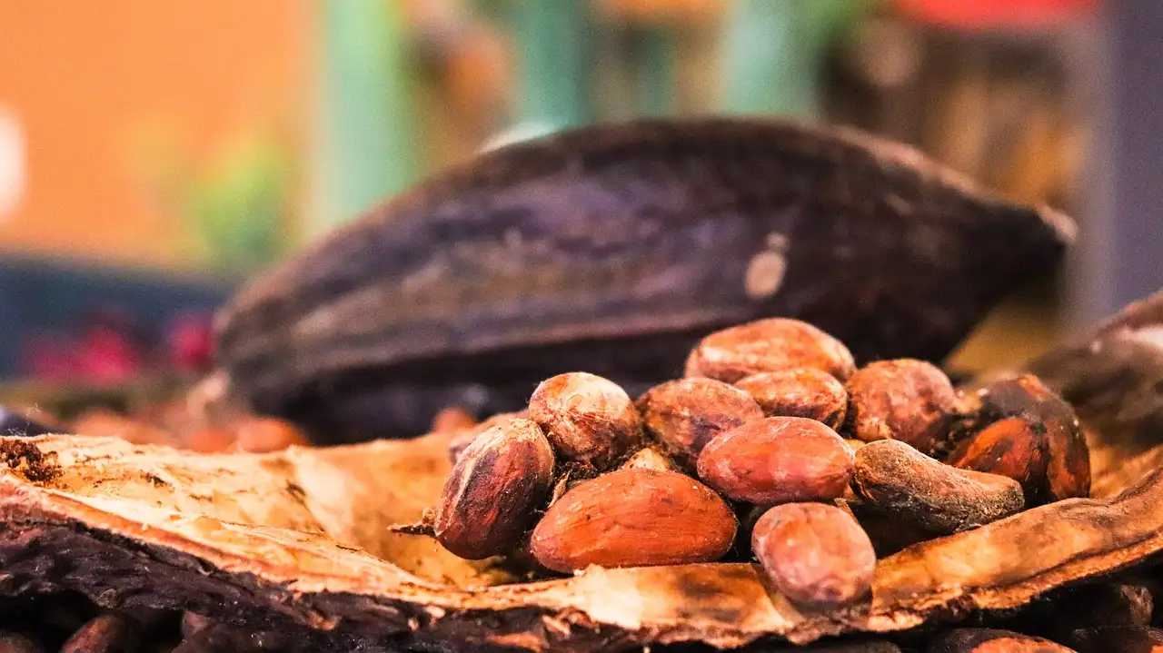 Quel est le rôle du maïs et du cacao dans la culture mexicaine ?