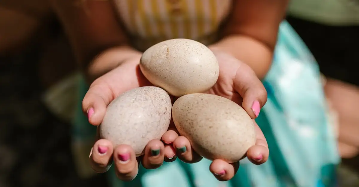 Quel était le rôle des Trois Sœurs en agriculture ?