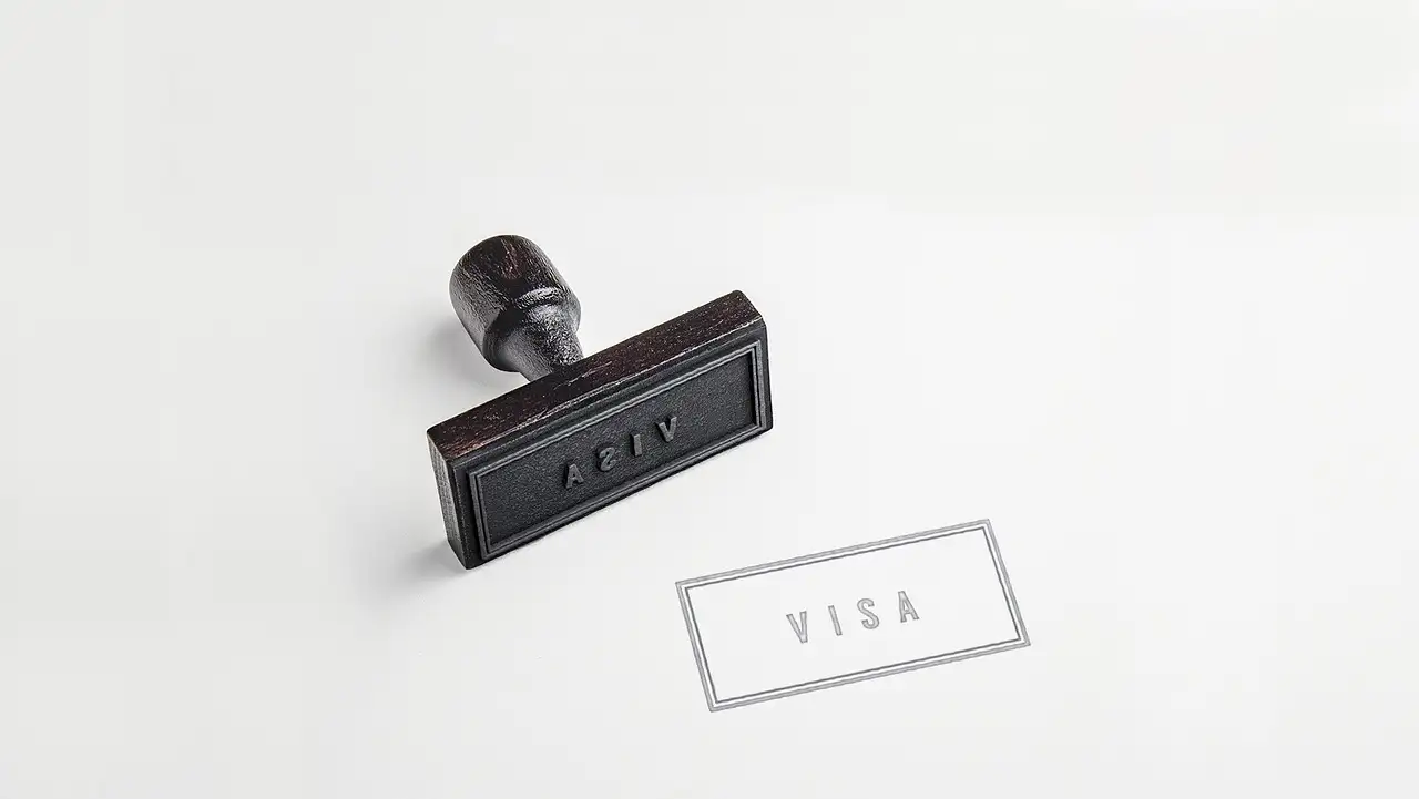 Quelle est l'histoire de Visa aux États-Unis ?