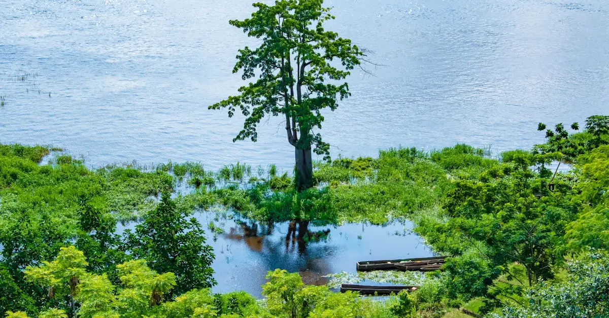 Quelle rivière sépare le Congo et le Gabon ?