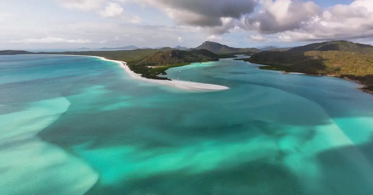 Quels îlots près de l'Australie sont au patrimoine mondial ?