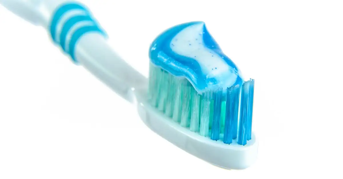 Comment la menthe assure-t-elle une haleine fraîche ?