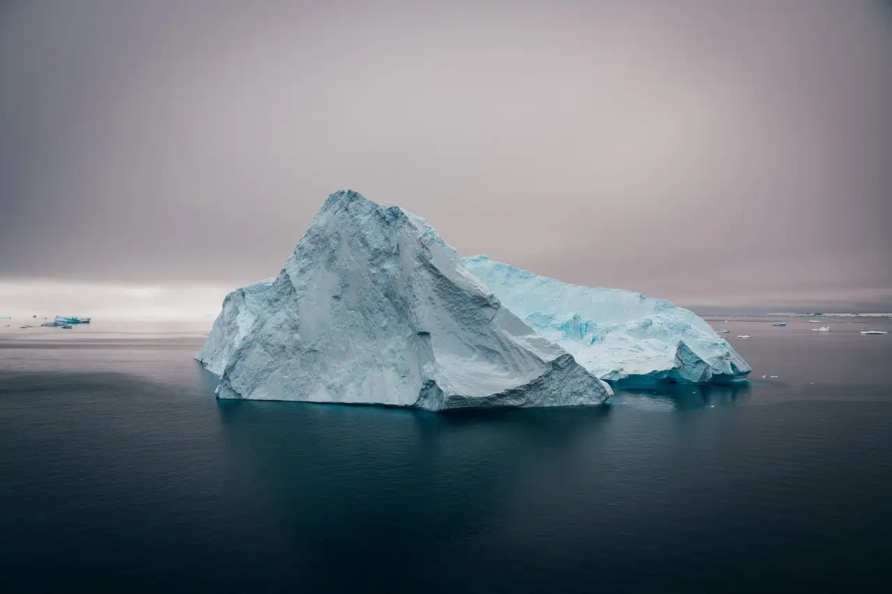 Comment le climat affecte-t-il la survie des ours polaires ?