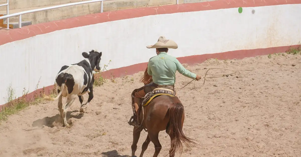 Comment les chevaux ont-ils transformé la vie des Indiens ?