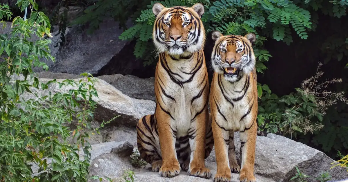 Comment les guides spirituels aident-ils les chasseurs en nature ?
