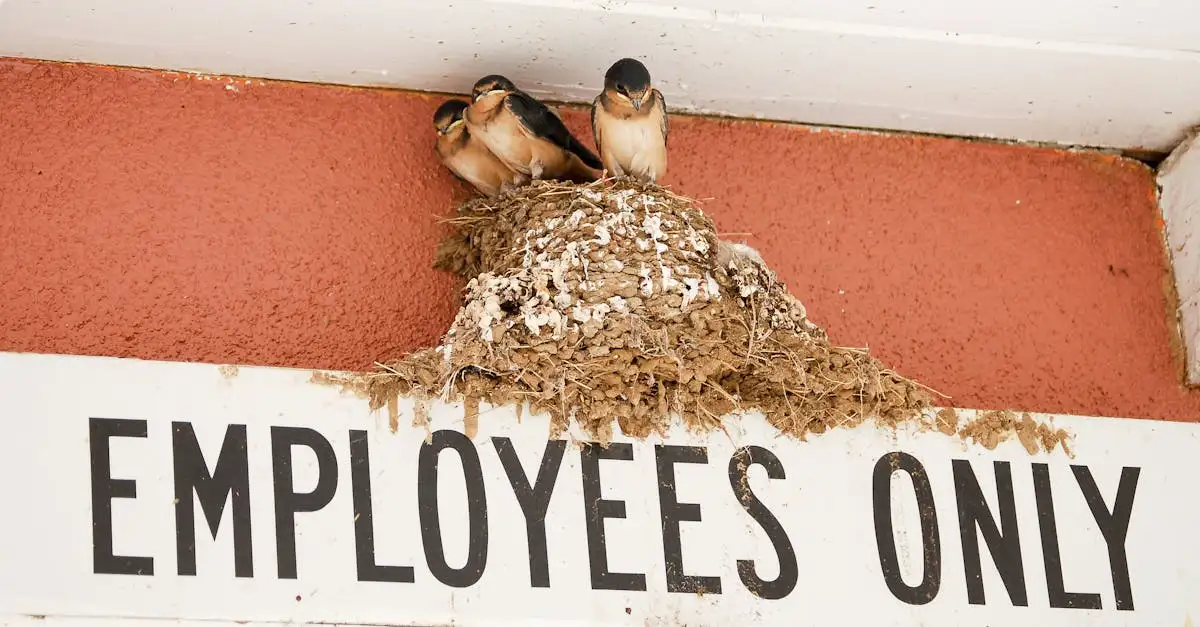 Comment les oiseaux communiquent-ils par le chant et les cris ?
