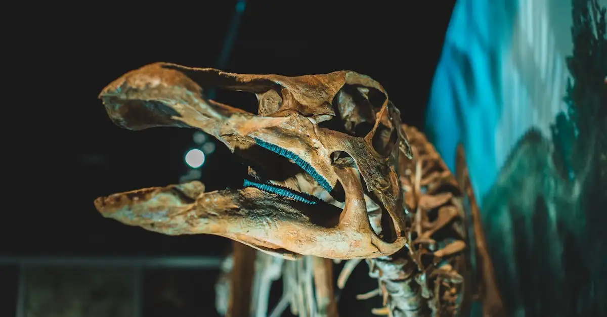 Comment les scientifiques ont-ils prouvé que les dinosaures avaient des plumes ?