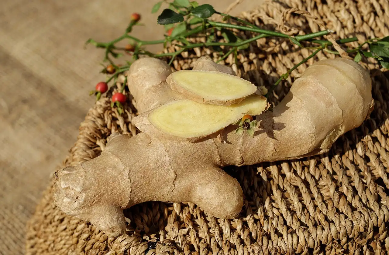 Le gingembre soulage-t-il la douleur arthritique ?
