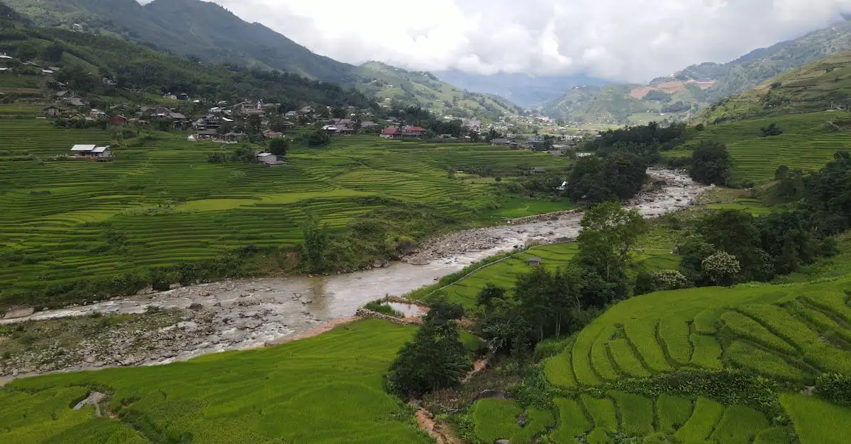 Où découvrir les rizières colorées de Sapa au Vietnam ?