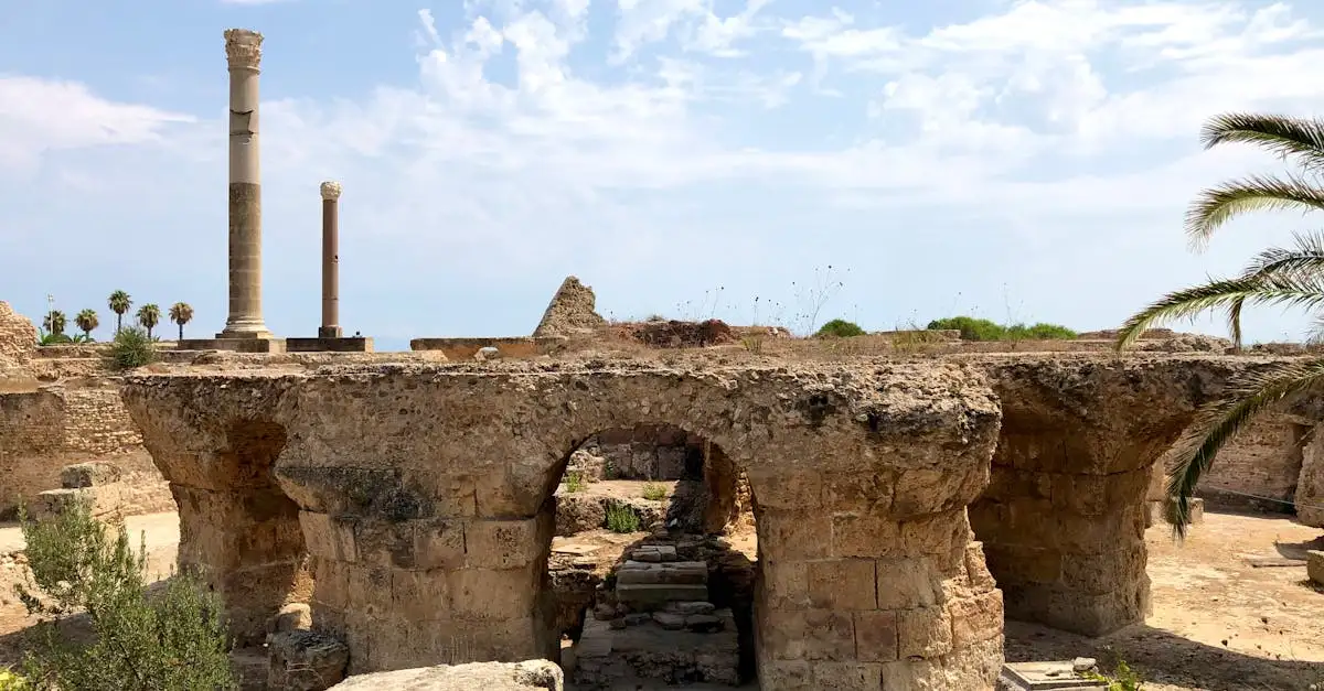Où découvrir les ruines historiques de Carthage en Tunisie ?