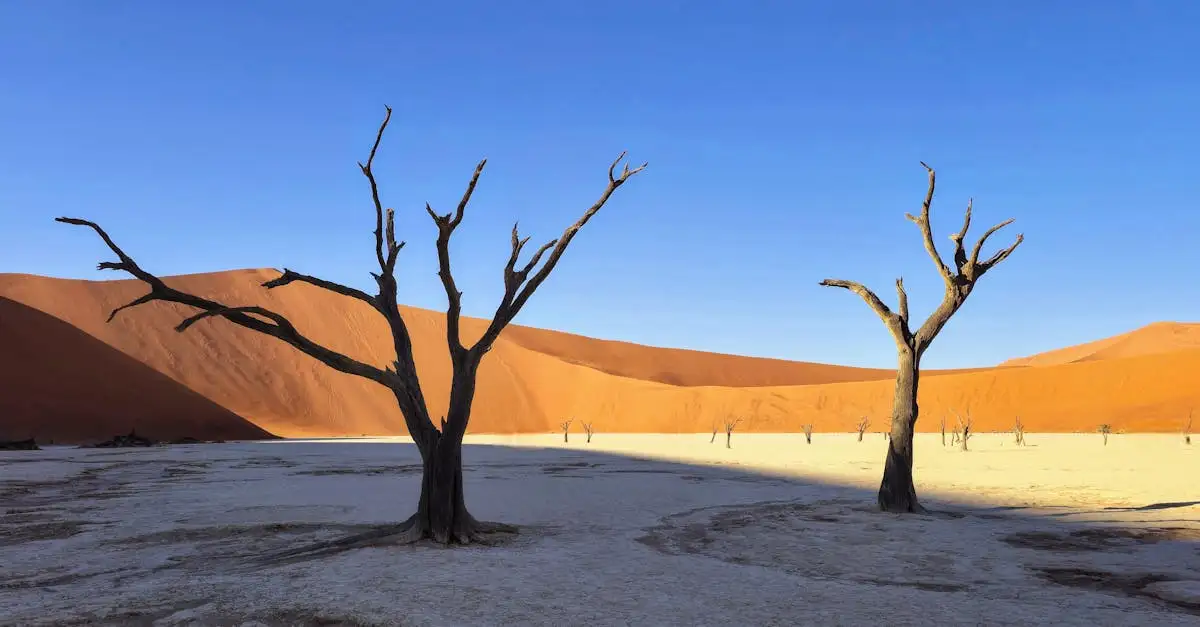 Où est situé le désert de Namib et le parc de Namib-Naukluft ?