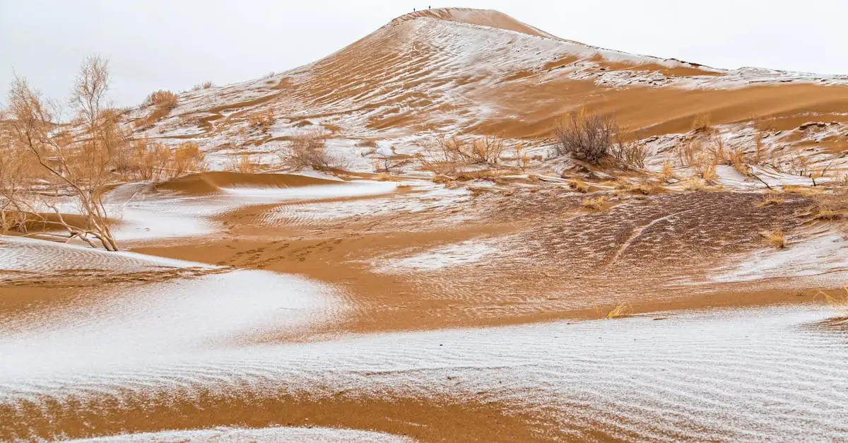 Quel désert froid découvrir en Patagonie ?
