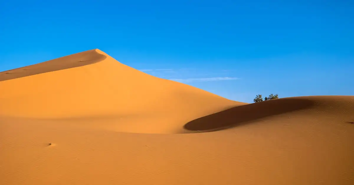 Quel désert marocain possède des dunes de sable de film ?