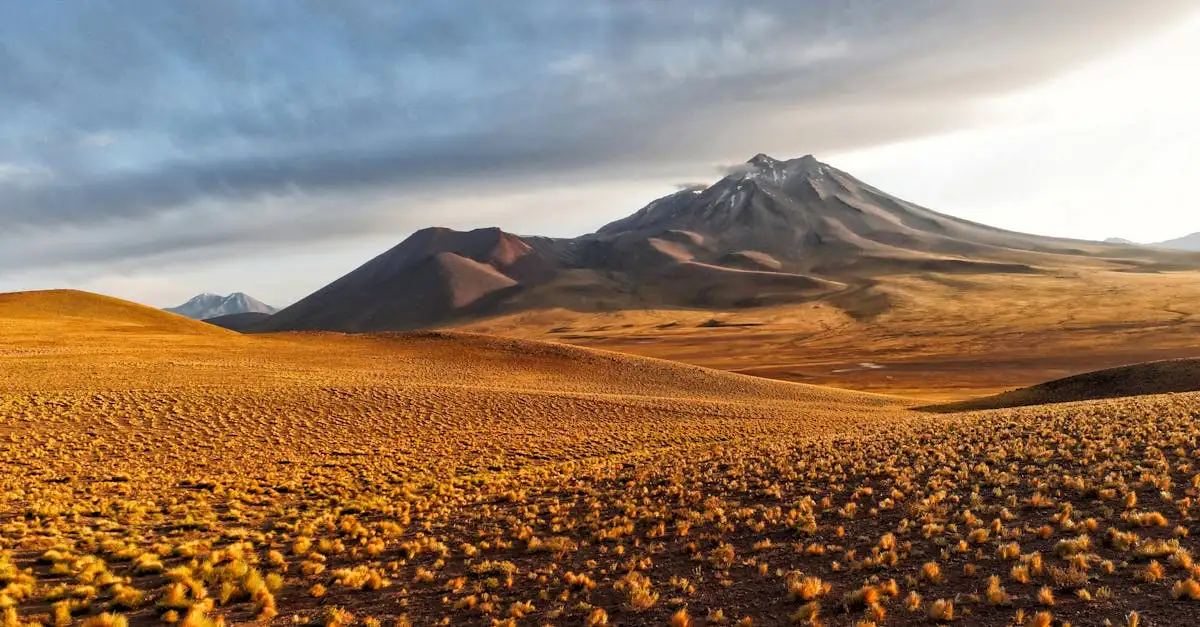 Quel est le célèbre désert du Chili, l'Atacama ?