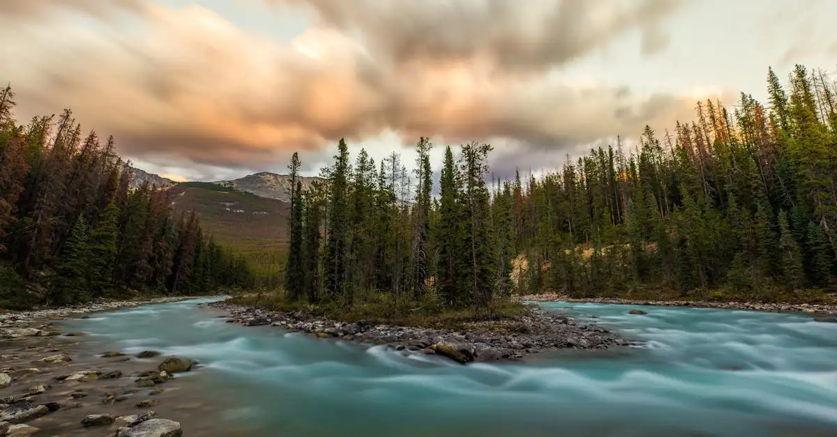 Quel est le plus grand parc national du Canada ?