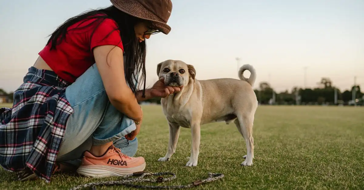 Quelle est la durée de vie moyenne d'un chien ?