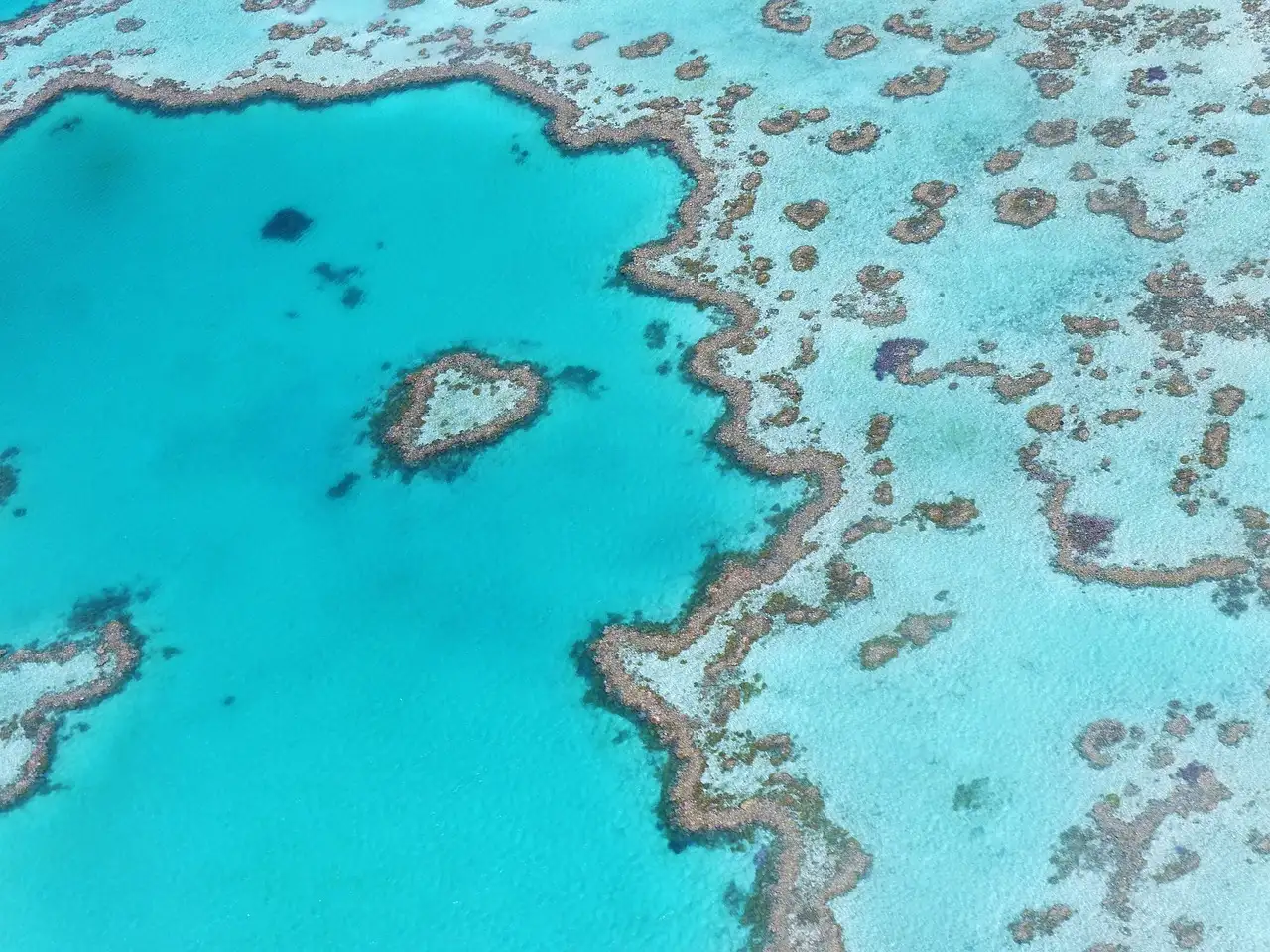 Quelle ville accède à la Grande Barrière de Corail ?
