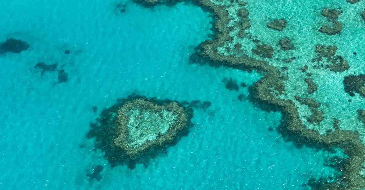 Quelle ville australienne est proche de la Grande Barrière ?