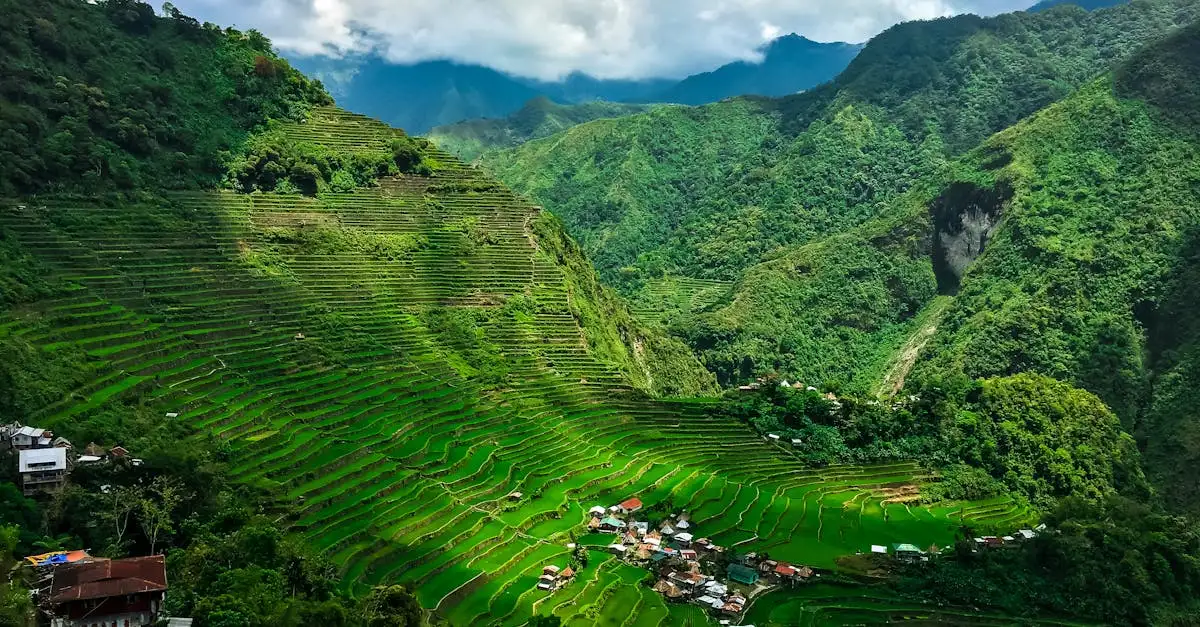 Quelle ville des Philippines abrite les rizières de Banaue ?