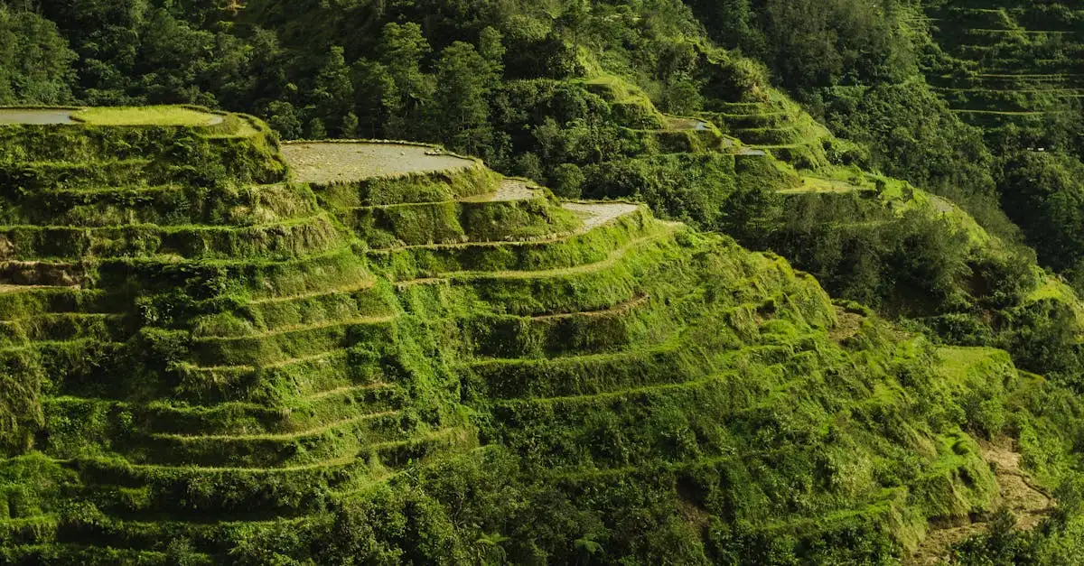 Quelle ville des Philippines abrite les rizières de Banaue ?