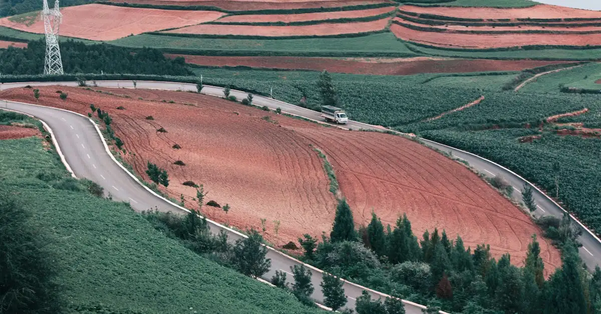 Quelles cultures les Incas ont-ils cultivées ?