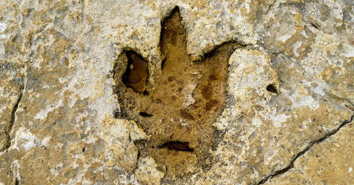 Quels dinosaures vivaient en Europe ? Découvrez-les ici !