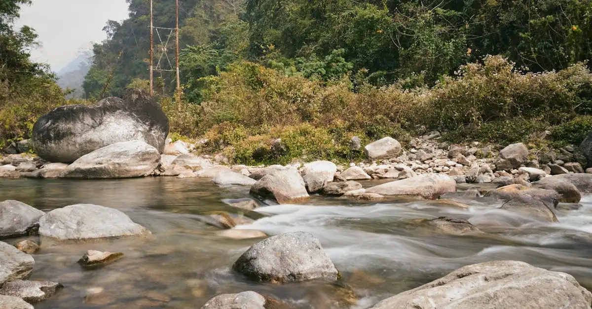 Qu'est-ce que le parc national Jigme Dorji au Bhoutan ?