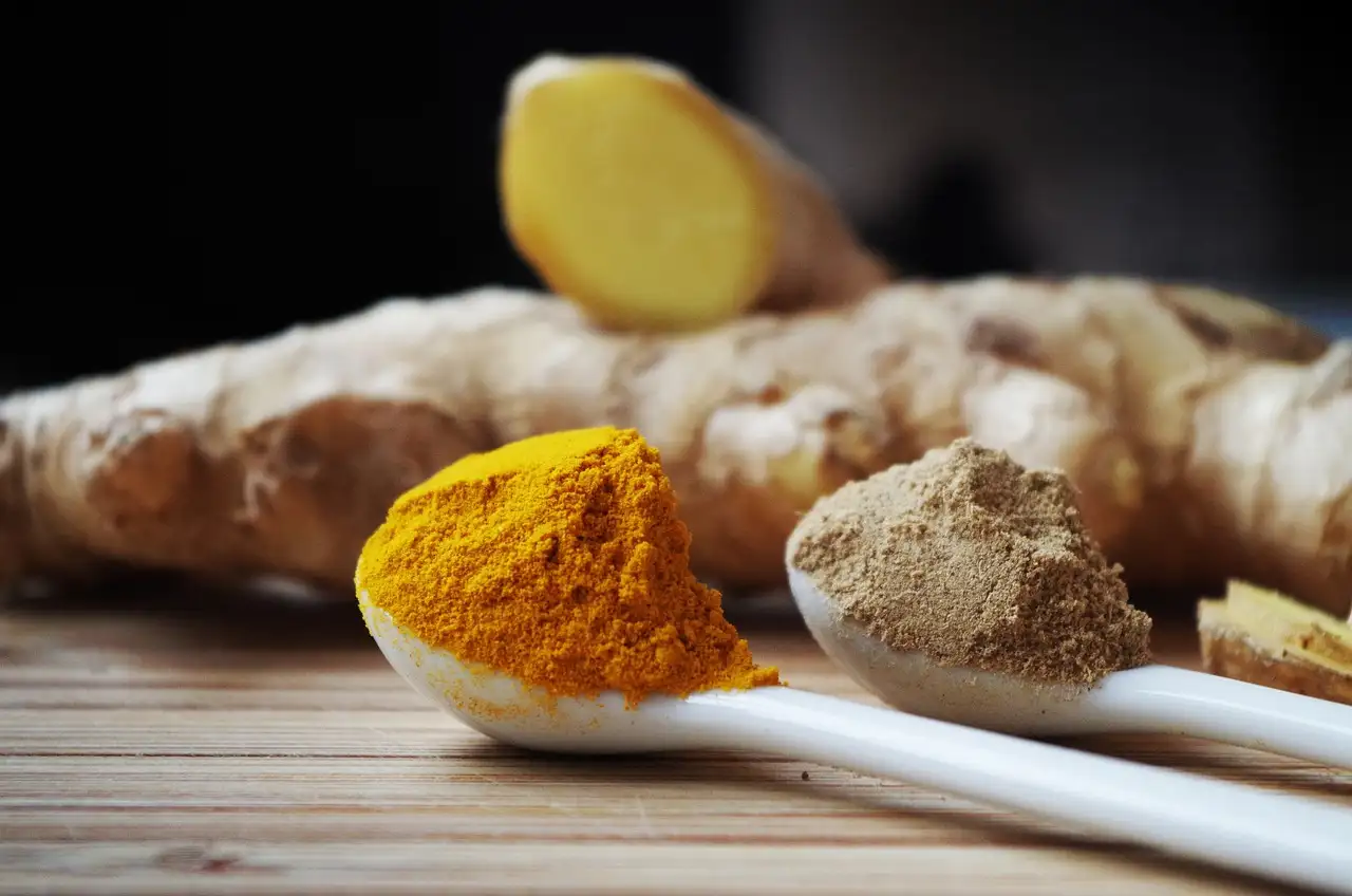 Comment le curcuma améliore-t-il votre digestion ?