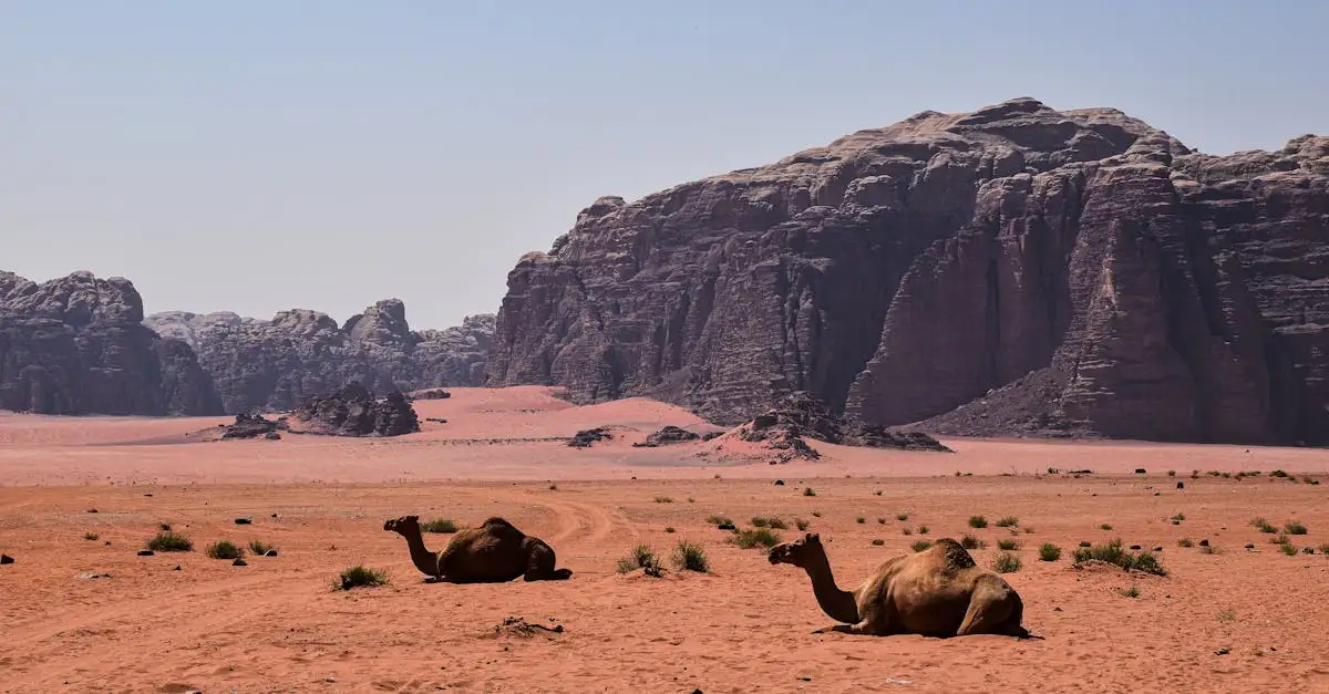 Les caravanes ont-elles été essentielles au transport dans le désert ?