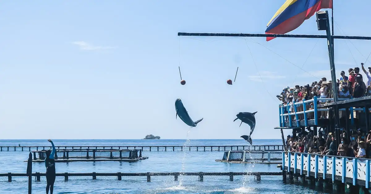 Les dauphins s'appellent-ils vraiment par leur nom ?