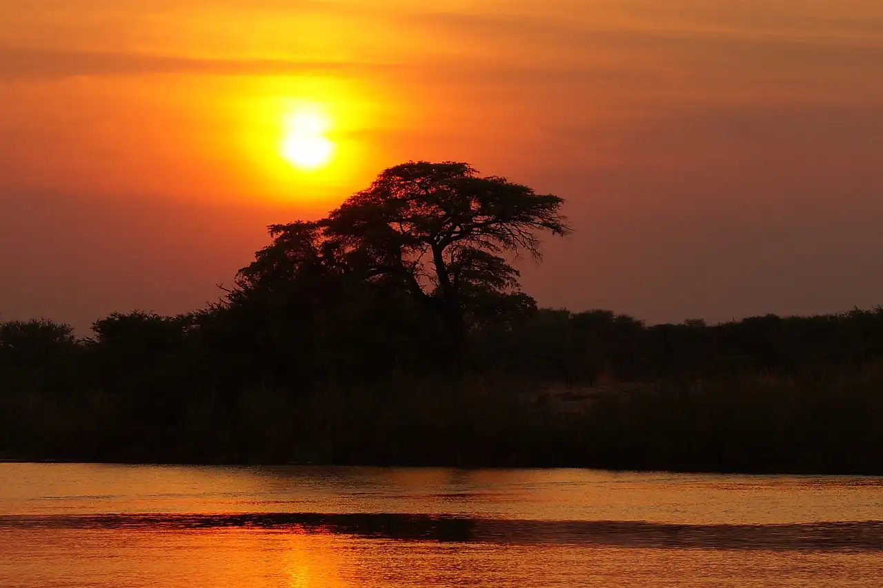 Pourquoi le delta de l'Okavango est-il si unique au Botswana ?