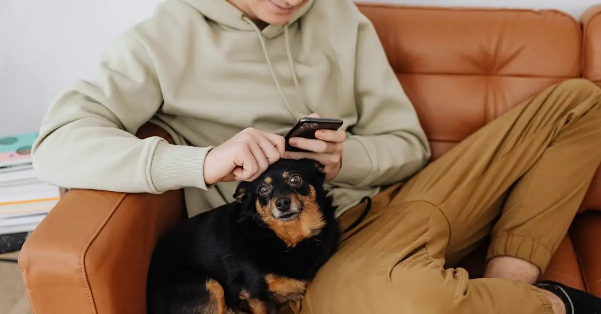 Pourquoi les chiens sont-ils si uniques dans leurs interactions humaines ?