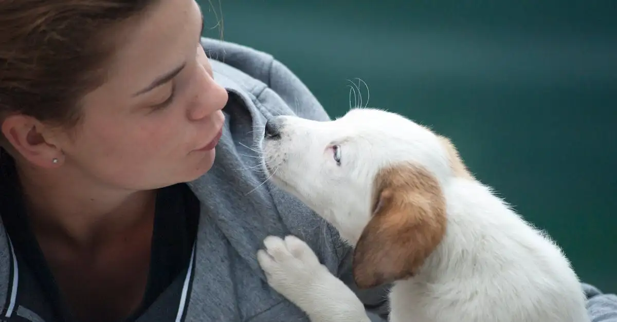 Pourquoi les chiens sont-ils si uniques dans leurs interactions humaines ?