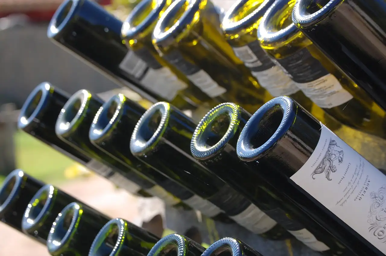 Que visiter dans la région viticole de Mendoza, Argentine ?