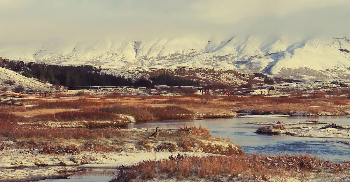 Quel est le parc national de Þingvellir en Islande ?