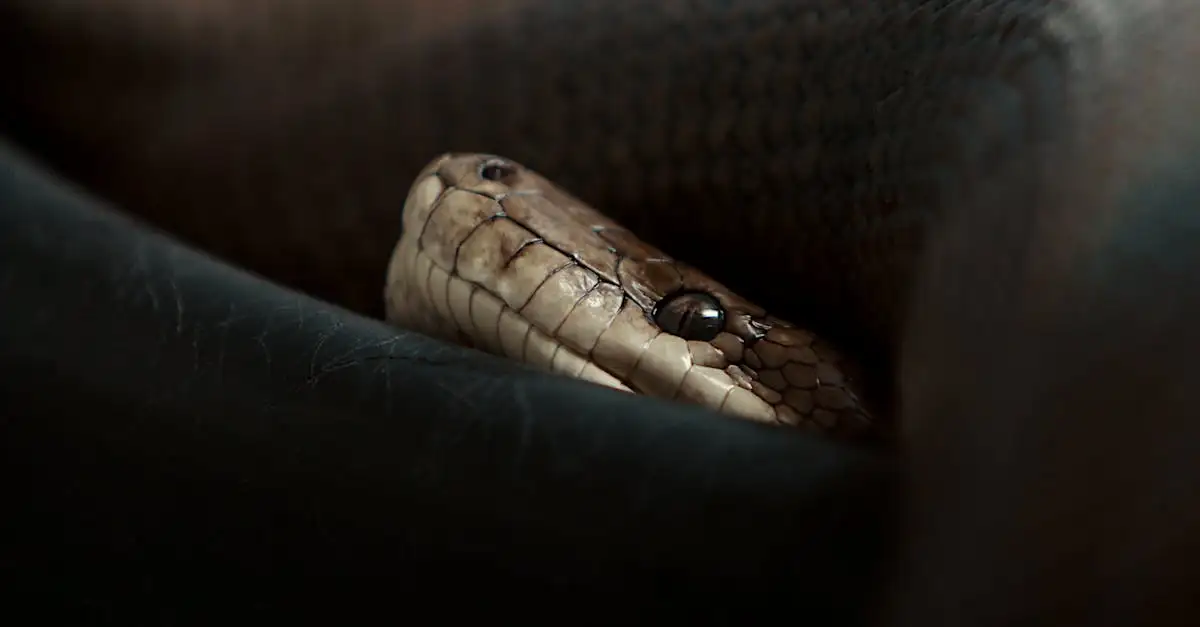 Quel est le plus grand reptile venimeux au monde ?