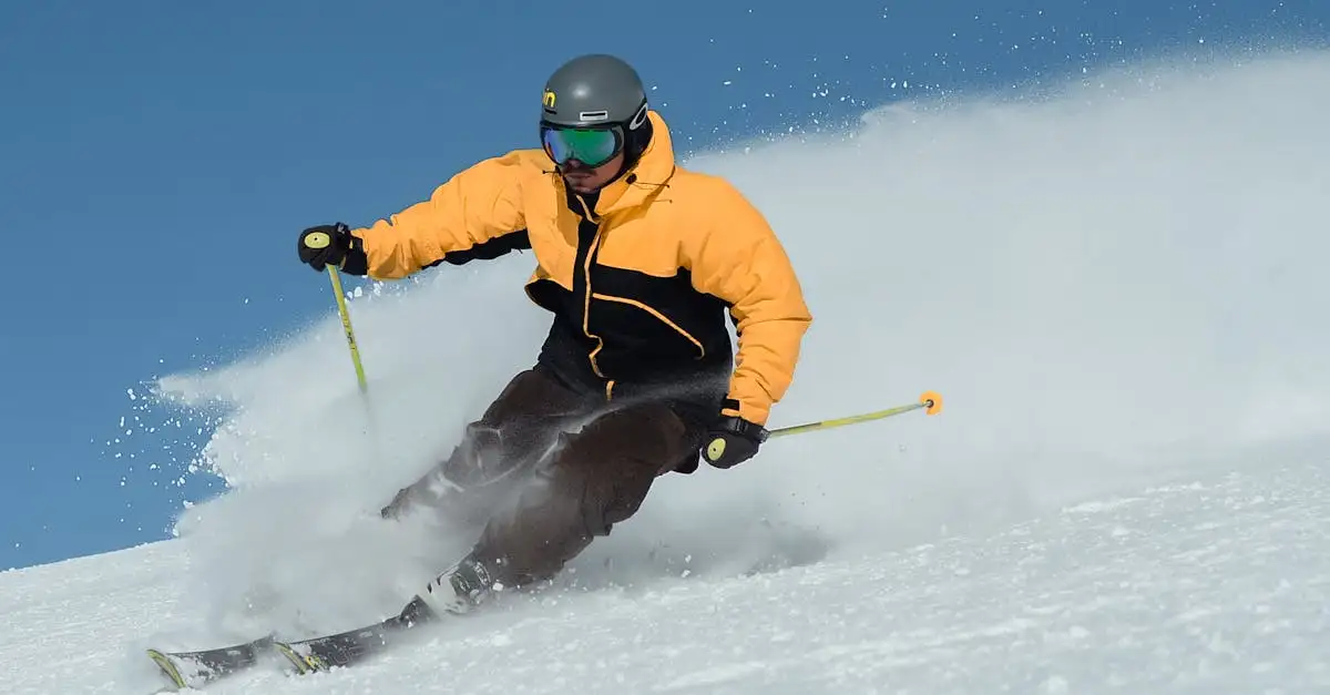 Quel est l'impact du ski freestyle sur les JO d'hiver ?