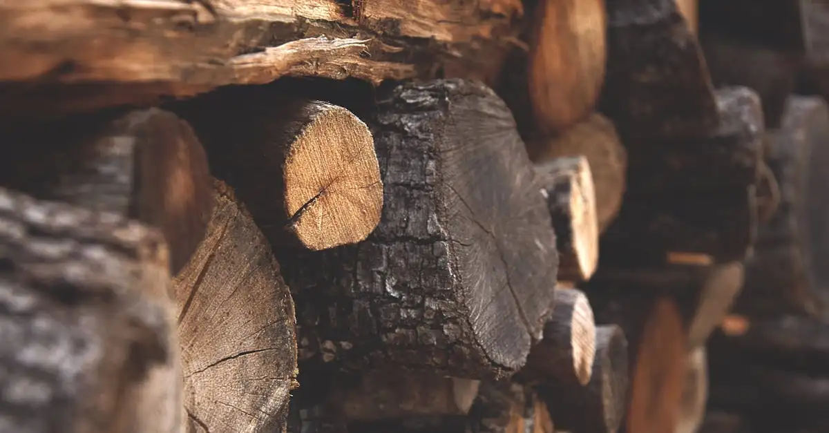 Quelle était l'importance de la déforestation chez les Mayas ?