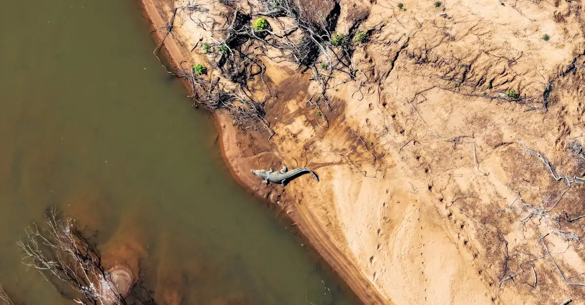 Quelle région d'Australie abrite le plus de crocodiles ?