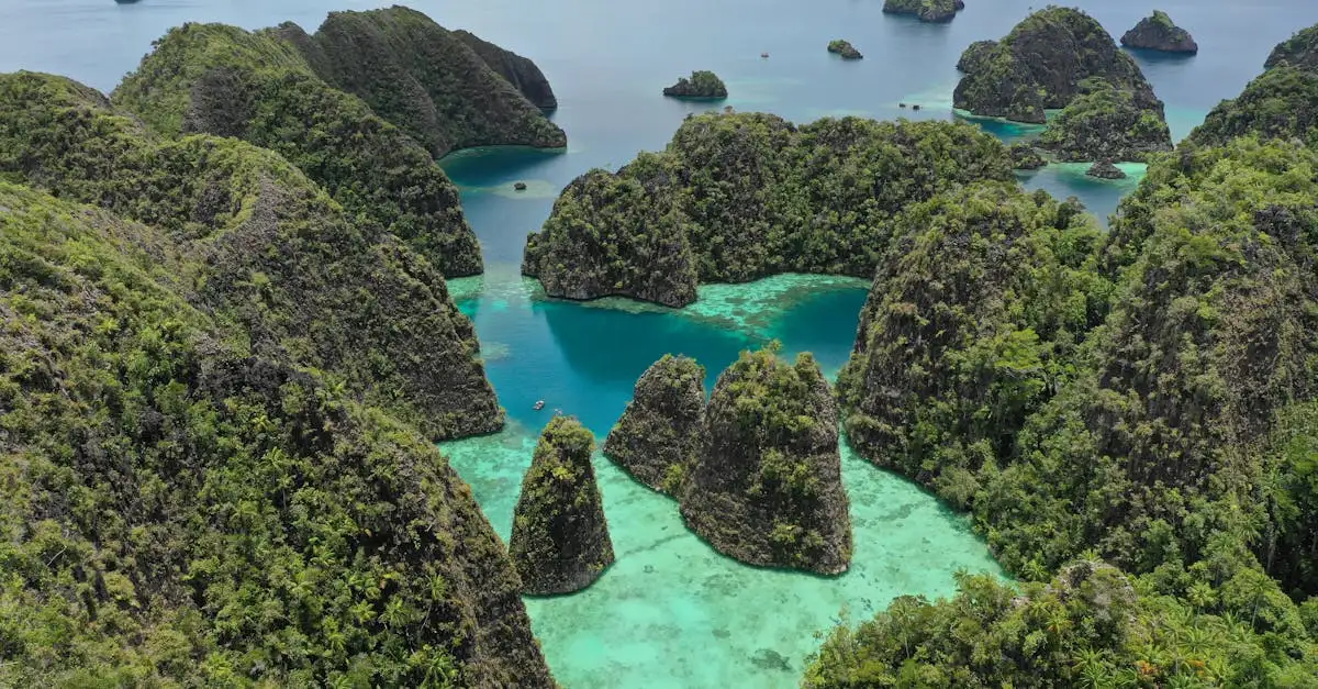 Quelles sont les 3 attractions incontournables à Palau ?