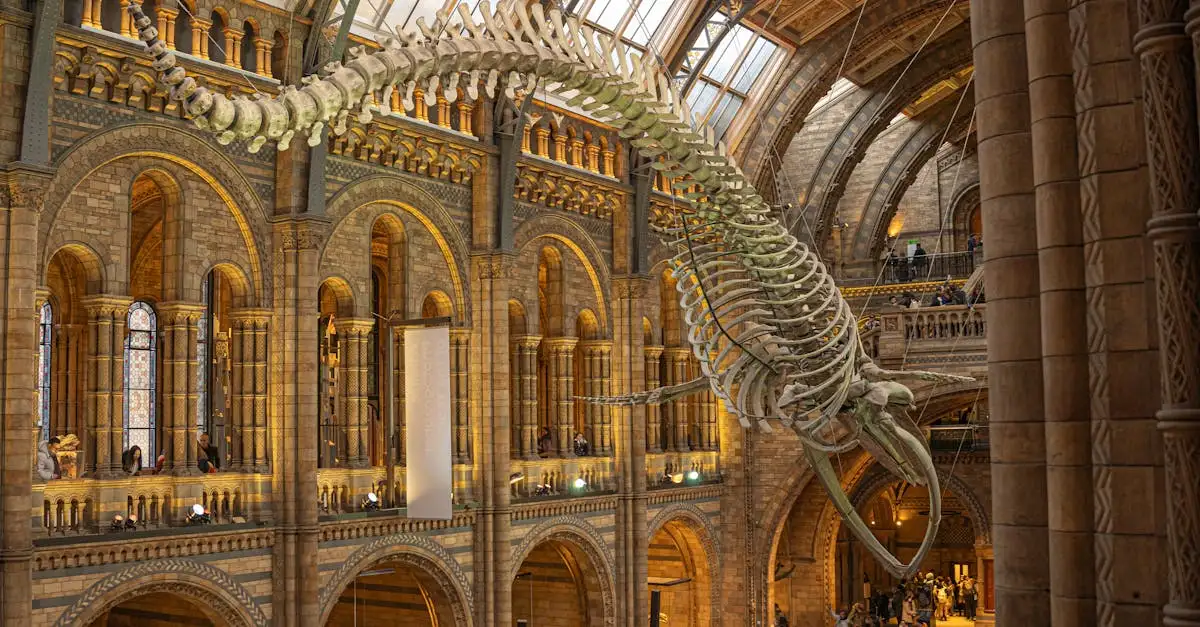 Quelles sont les récentes découvertes sur les dinosaures ?