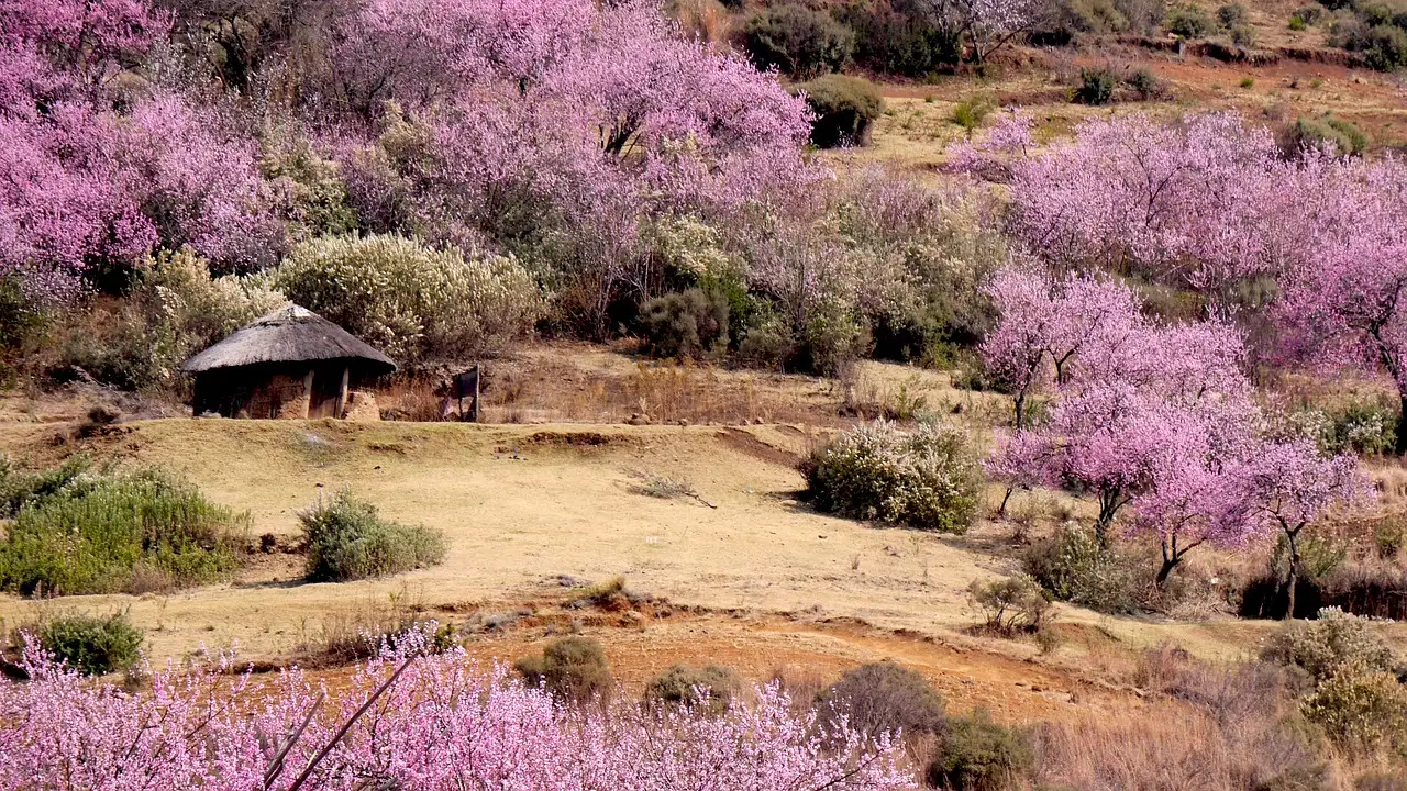 Quels sont les plus beaux musées et monuments du Lesotho ?