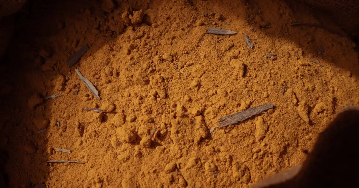 Comment la curcumine lutte-t-elle contre l'inflammation ?