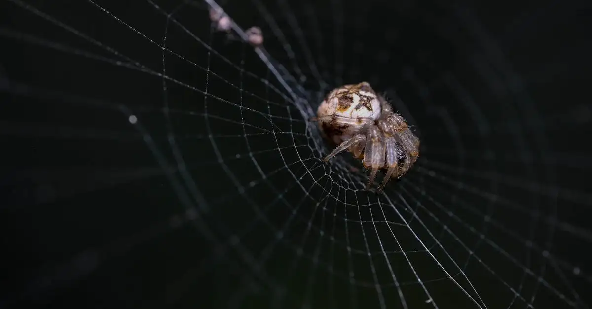 Comment l'eau d'ail repousse-t-elle les insectes au jardin ?