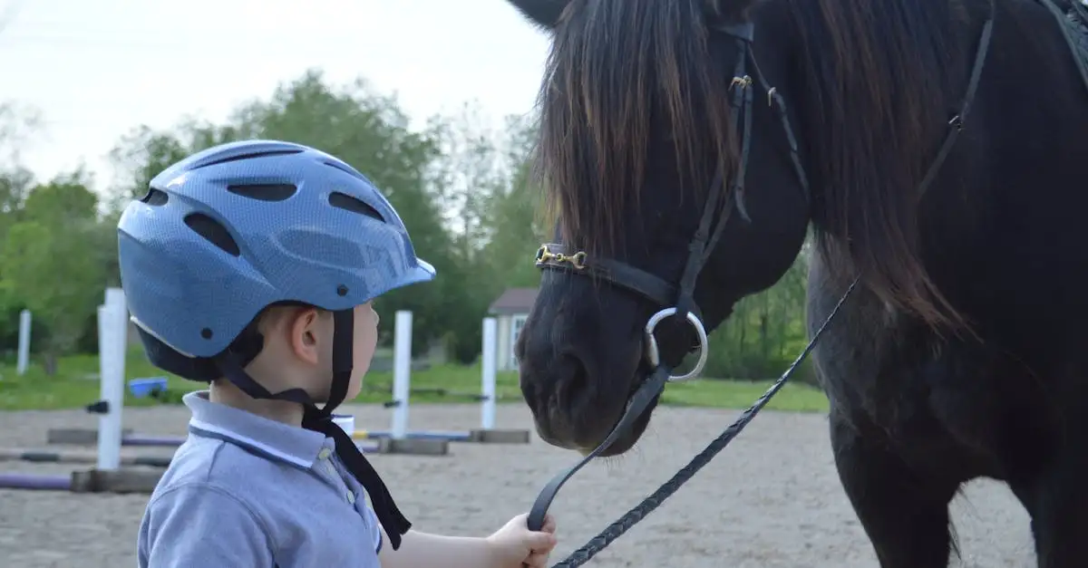 Comment les chevaux étaient-ils préparés pour la bataille ?