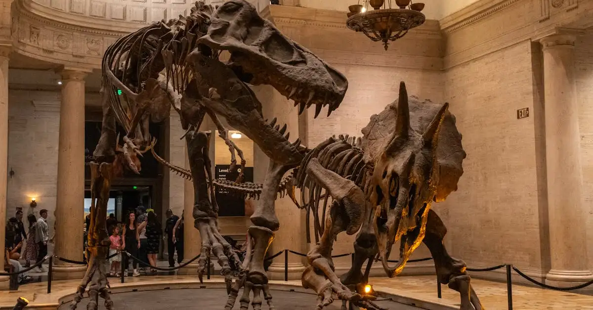 Comment les oiseaux ont-ils évolué à partir des dinosaures ?