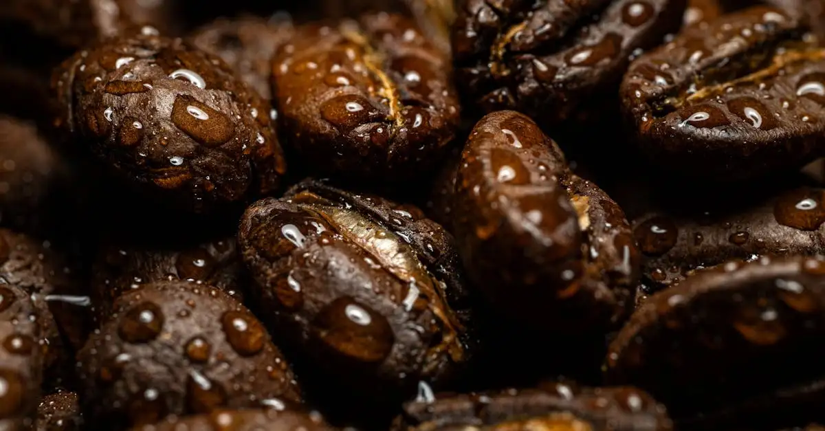 Comment utiliser le marc de café pour chasser les escargots ?