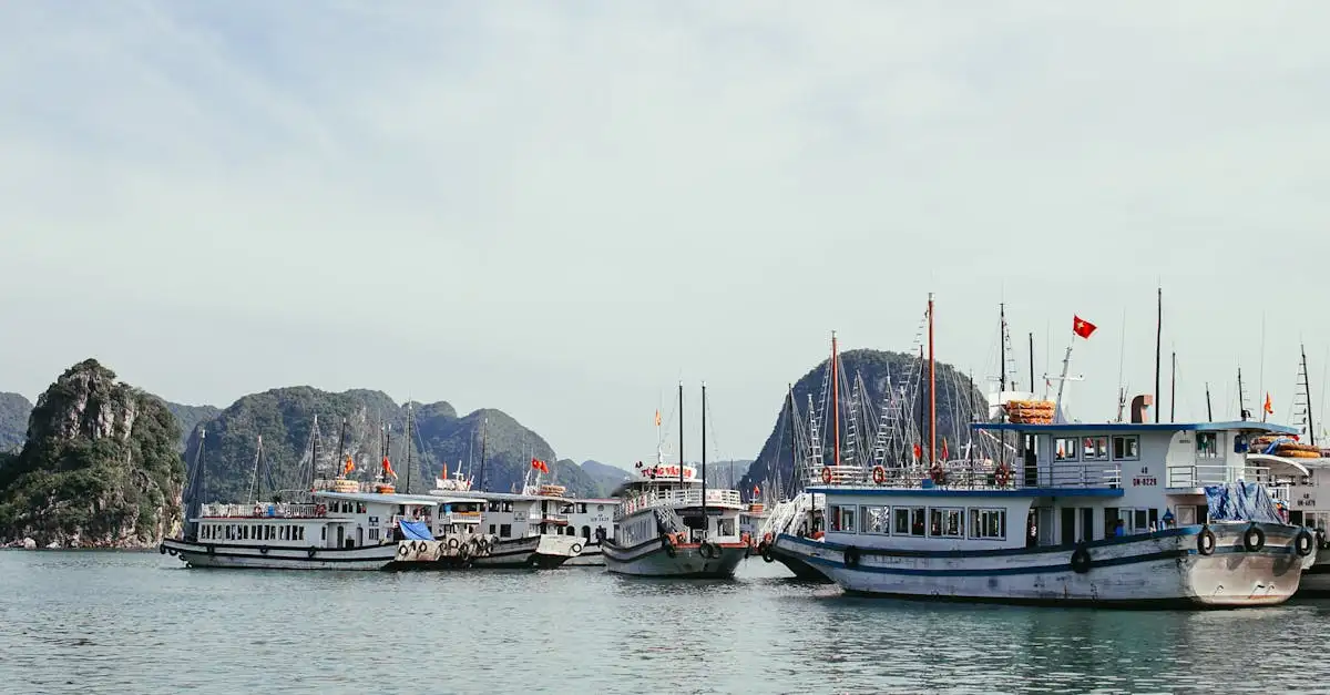 Pourquoi la baie d'Halong au Vietnam est-elle si célèbre ?